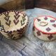 African lidbox and raffia cockroaches