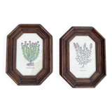 Duo botanical boards