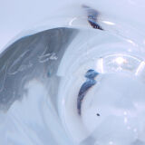 Signed carafe in transparent glass with cap