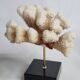 Set of four ancient white corals on pedestal, 15 cm