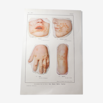 Medical board - anatomy - Gale