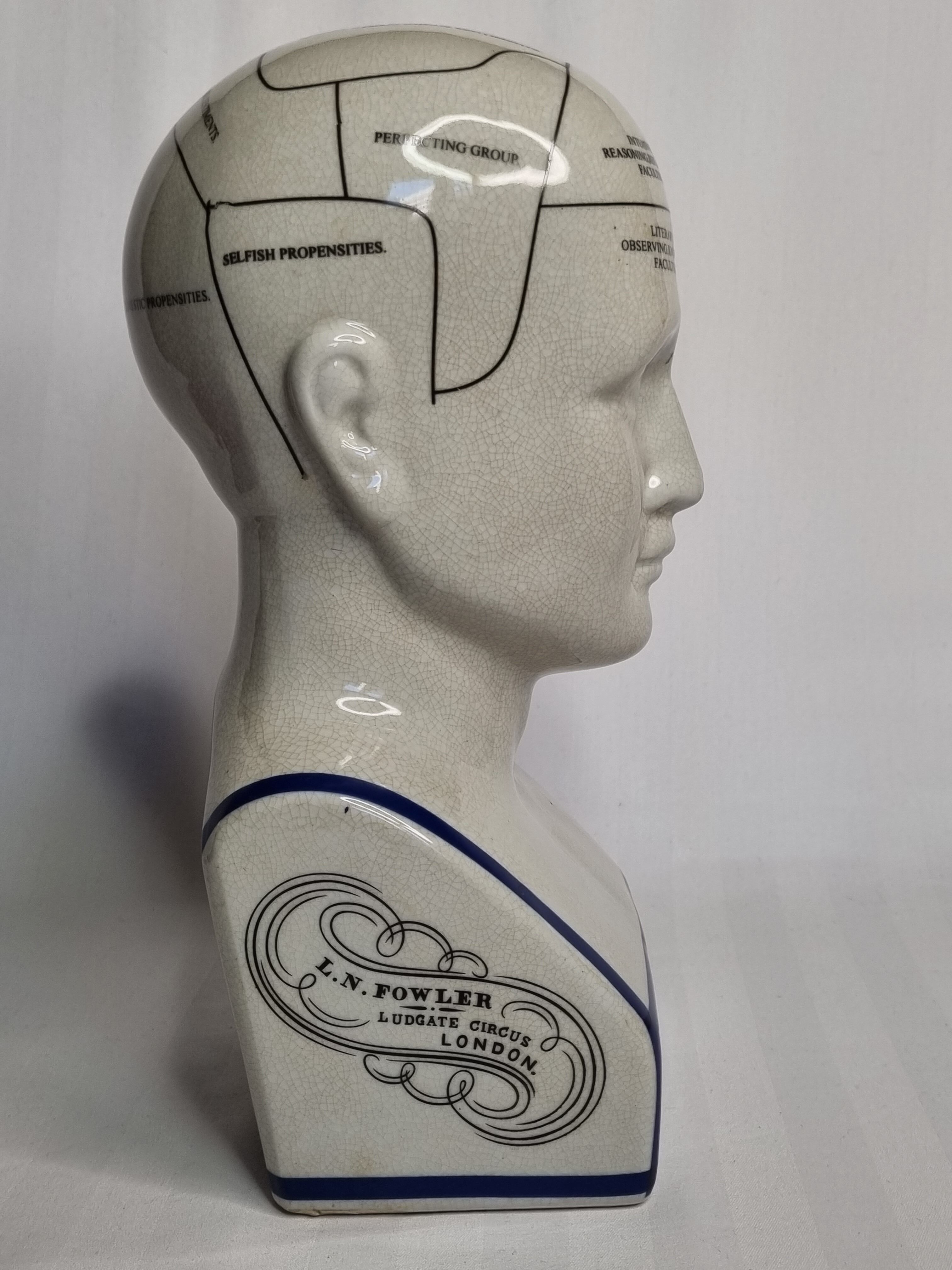 Phrenology bust after d'après L.N. Fowler