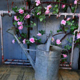 Zinc watering can