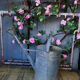 Zinc watering can