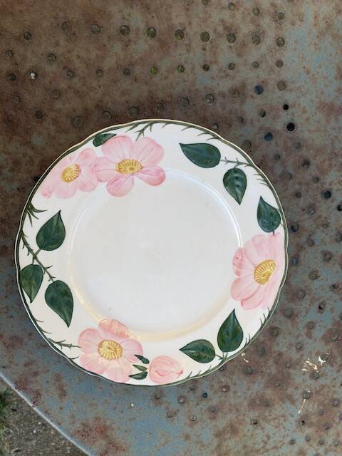 6 small earthenware dessert plates, Villeroy and Boch, wild rose, hawthorn, west germany