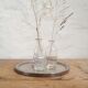 Glass and silver metal tray