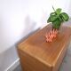 Vintage teak Danish chest with a lid on wheels, toy chest.