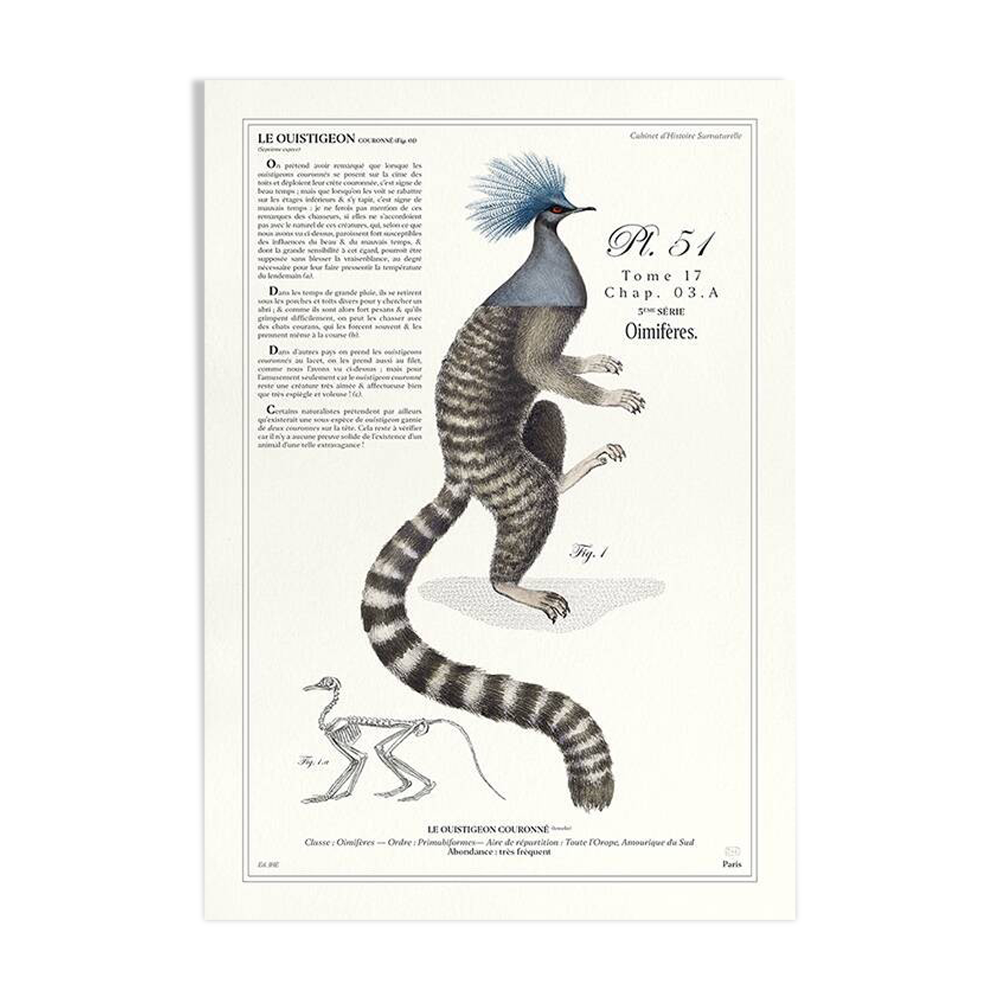 Chimera lithograph engraving animal - the marmoset