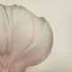 Vase "lotus flower"