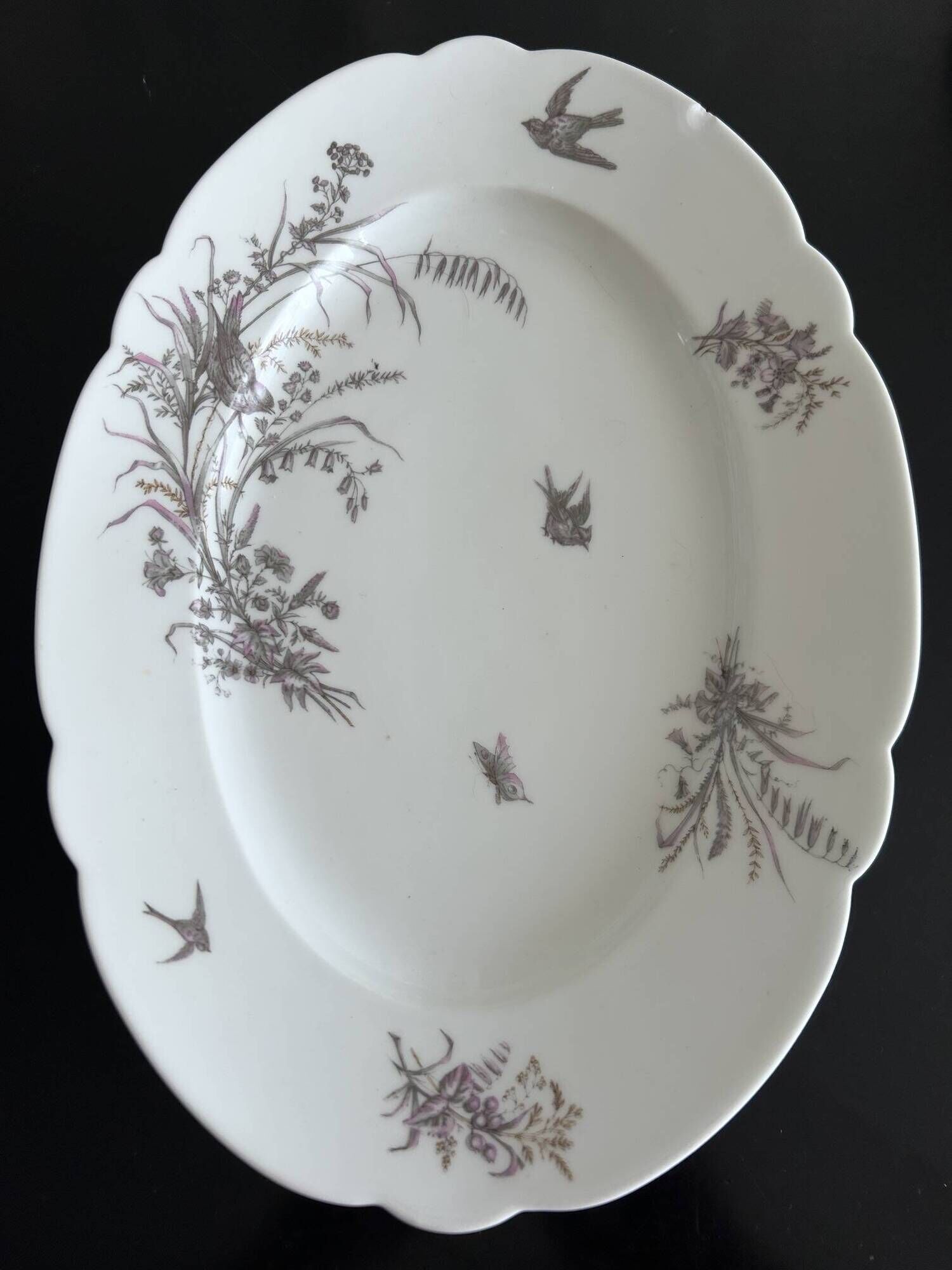 8 porcelain plates and 1 dish CH Pillivuyt & Cie