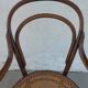 Fauteuil canné et bois courbé style Thonet Fischel, années 30