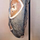 Bouclier d'apparat Fang africain en bois