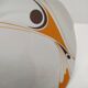 Vintage Winterling Bavaria dish