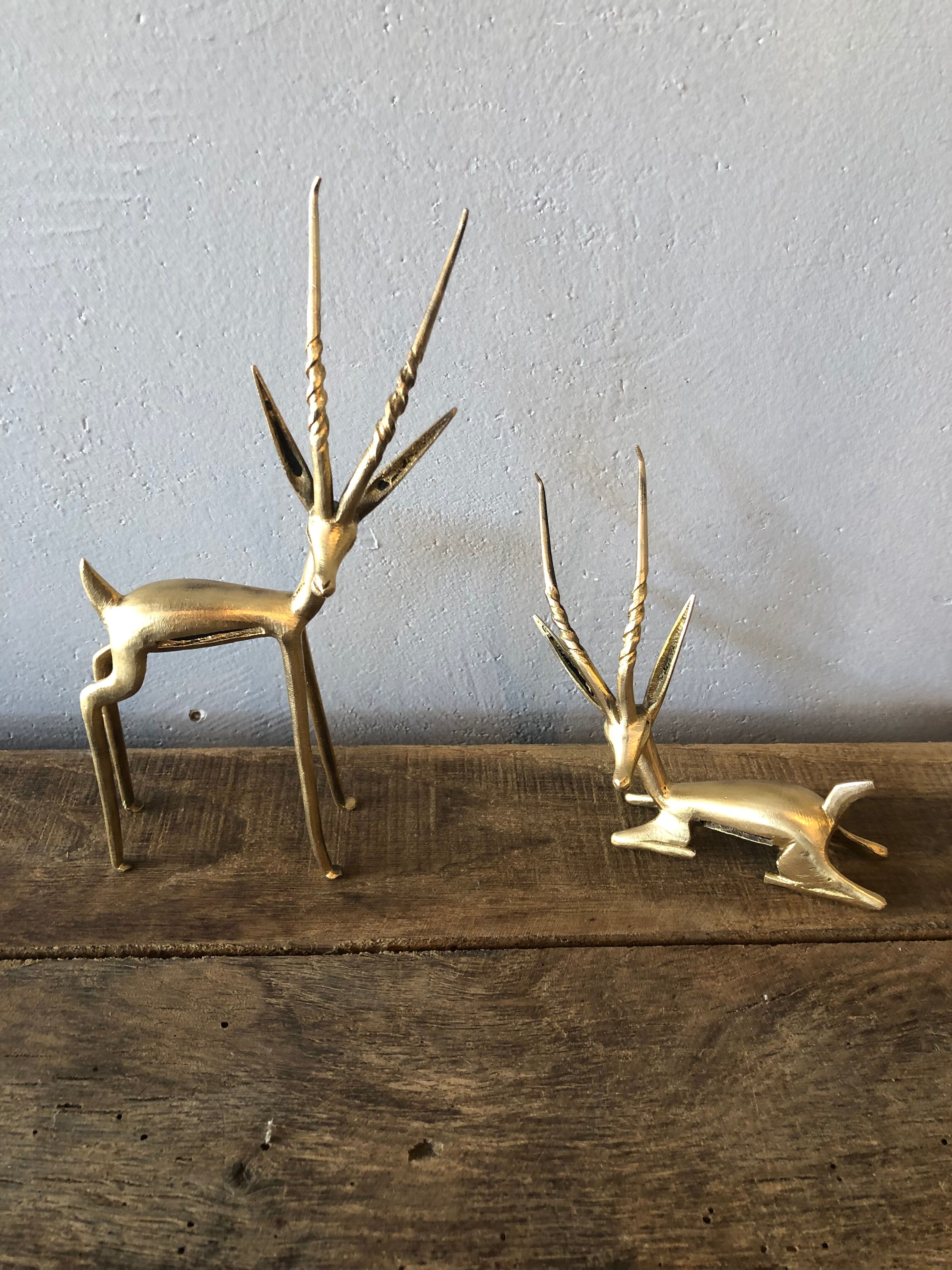 Two golden animal subjects