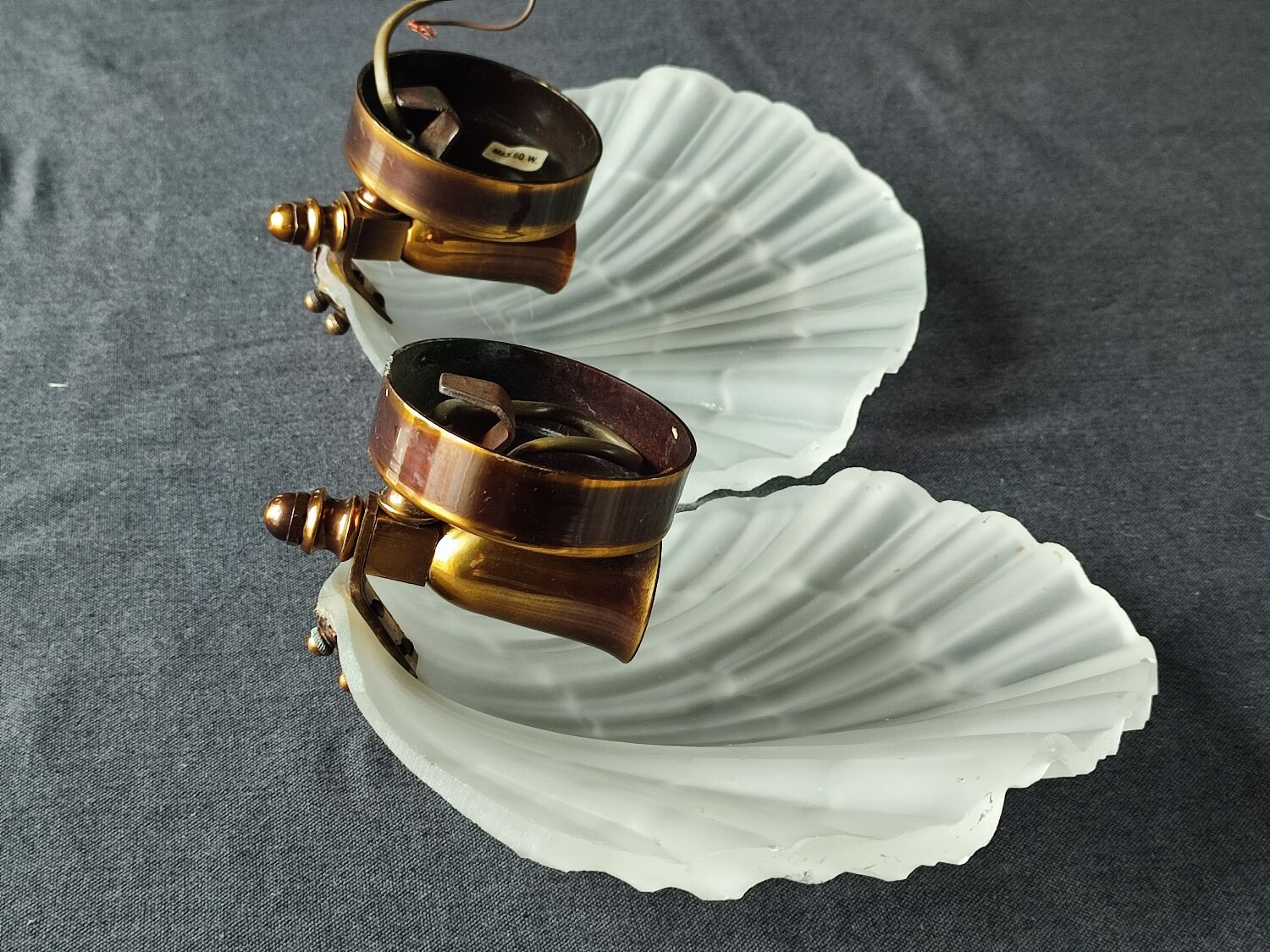 Pair of vintage shell wall lamp