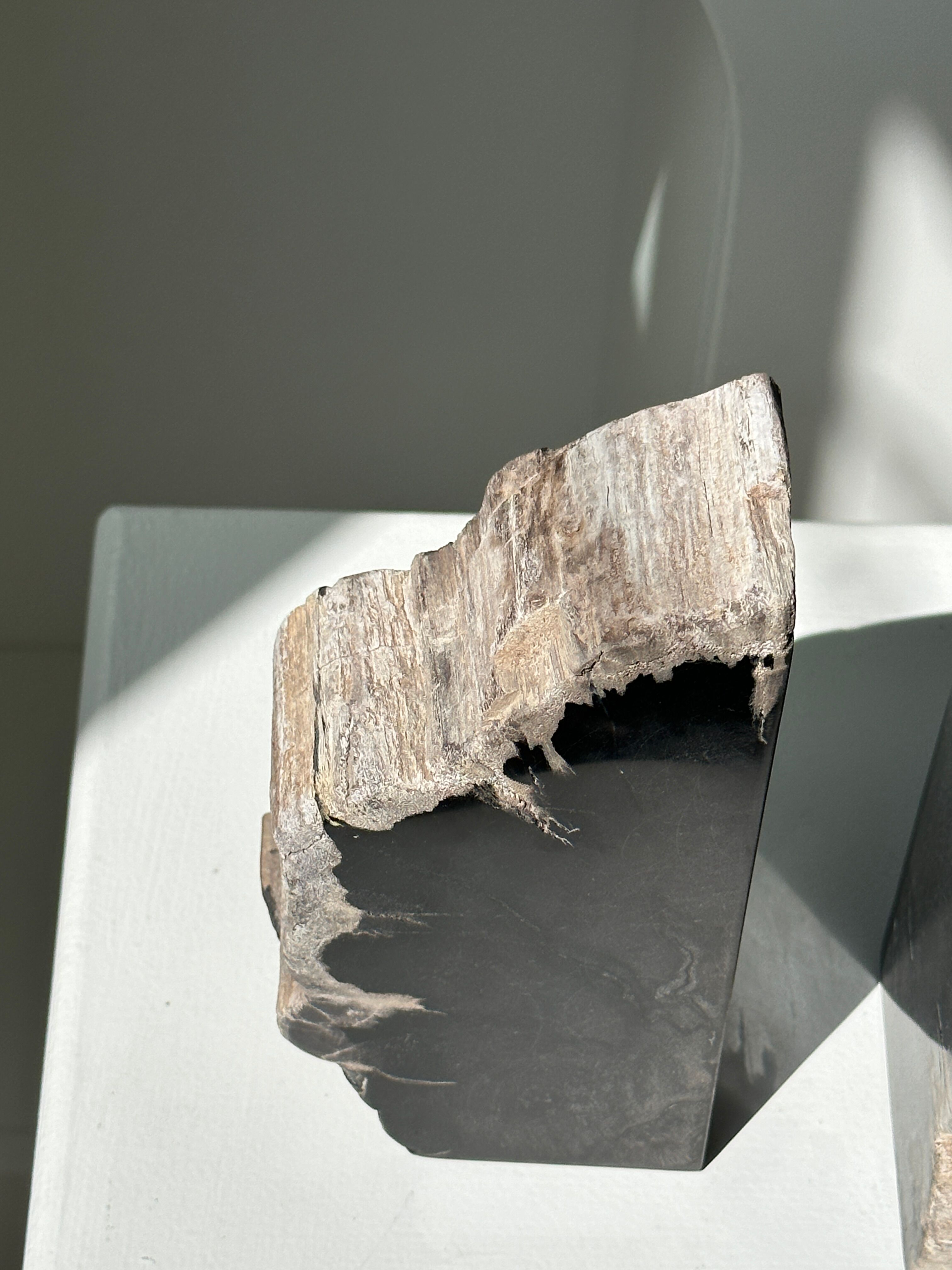 Black petrified wood bookend H17 L17 P6