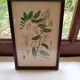 Botanical board