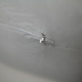 Chair of Raphael Raffel