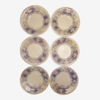 Set of 6 plates U&C Sarreguemines model Bryonia