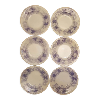 Set of 6 plates U&C Sarreguemines model Bryonia