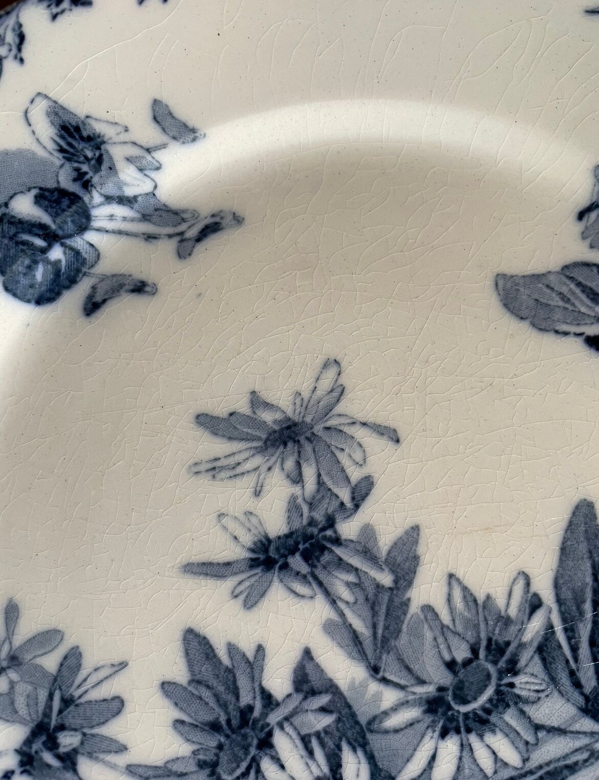 Dessert plates Sarreguemines model Stella