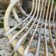 Set of 3 vintage rattan armchairs