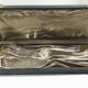 Christofle boreal model fish service cutlery