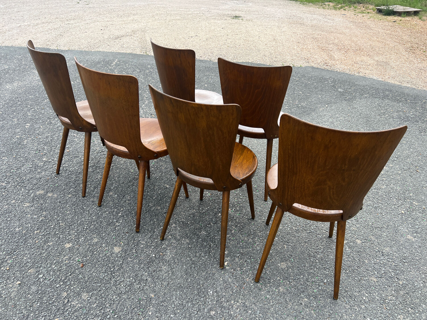 Suite of 6 Baumann chairs Dove model