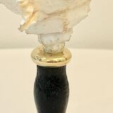 Old Murex conch shell on turned wooden base Napoleon III vintage curiosity cabinet R