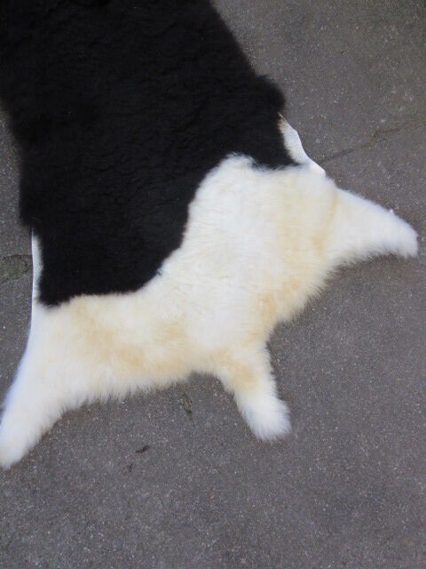 Peau de mouton