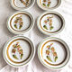 A pie dish and 6 dessert plates in Vintage made in Italy