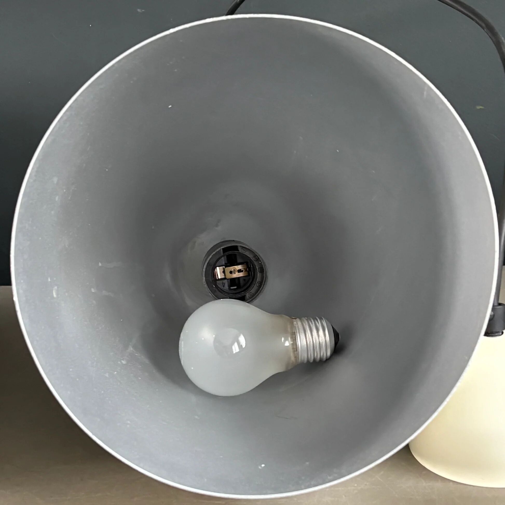 Pair of lacquered metal pendant lights with rose.