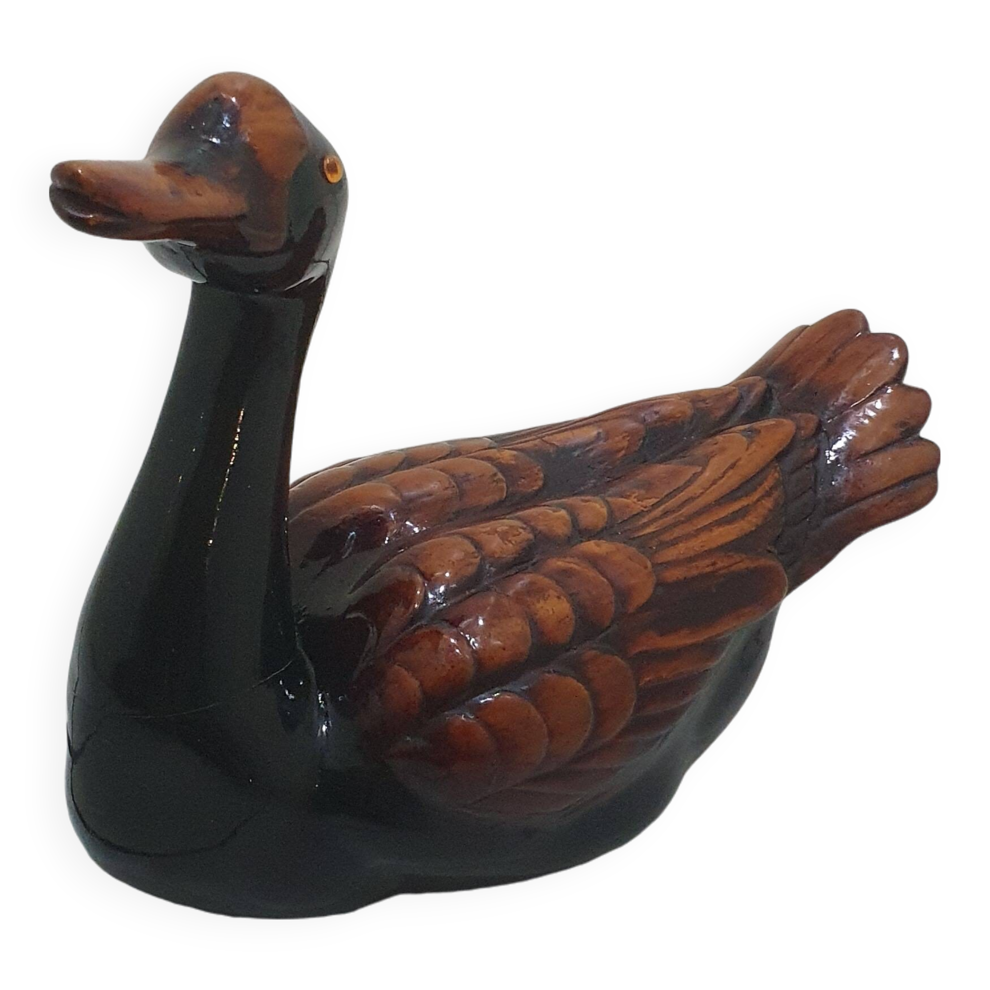 Large brown and black duck