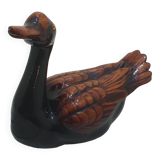 Large brown and black duck