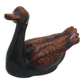 Large brown and black duck