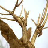 Trophy bust head chevreuil deer taxidermy gold gold