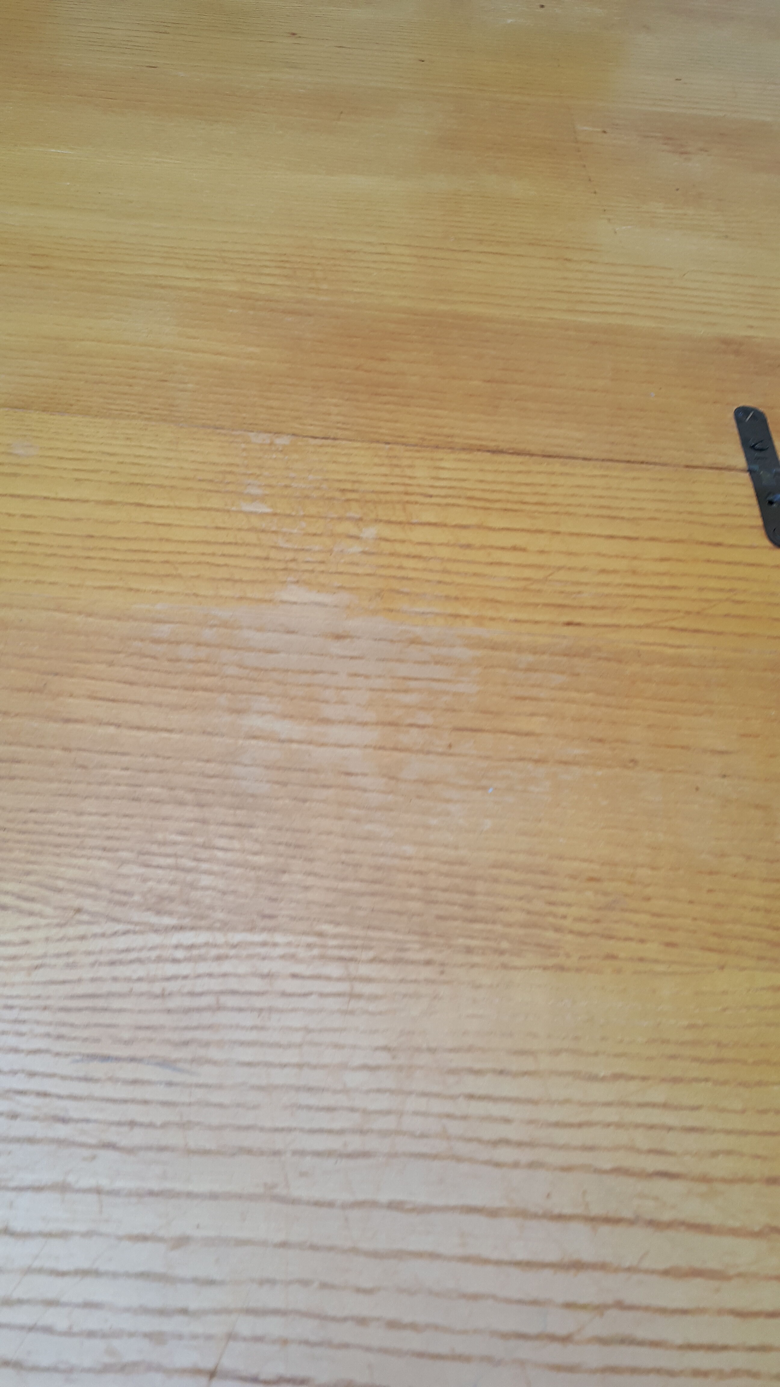 Modular table model junior revelation by Albert Ducrot