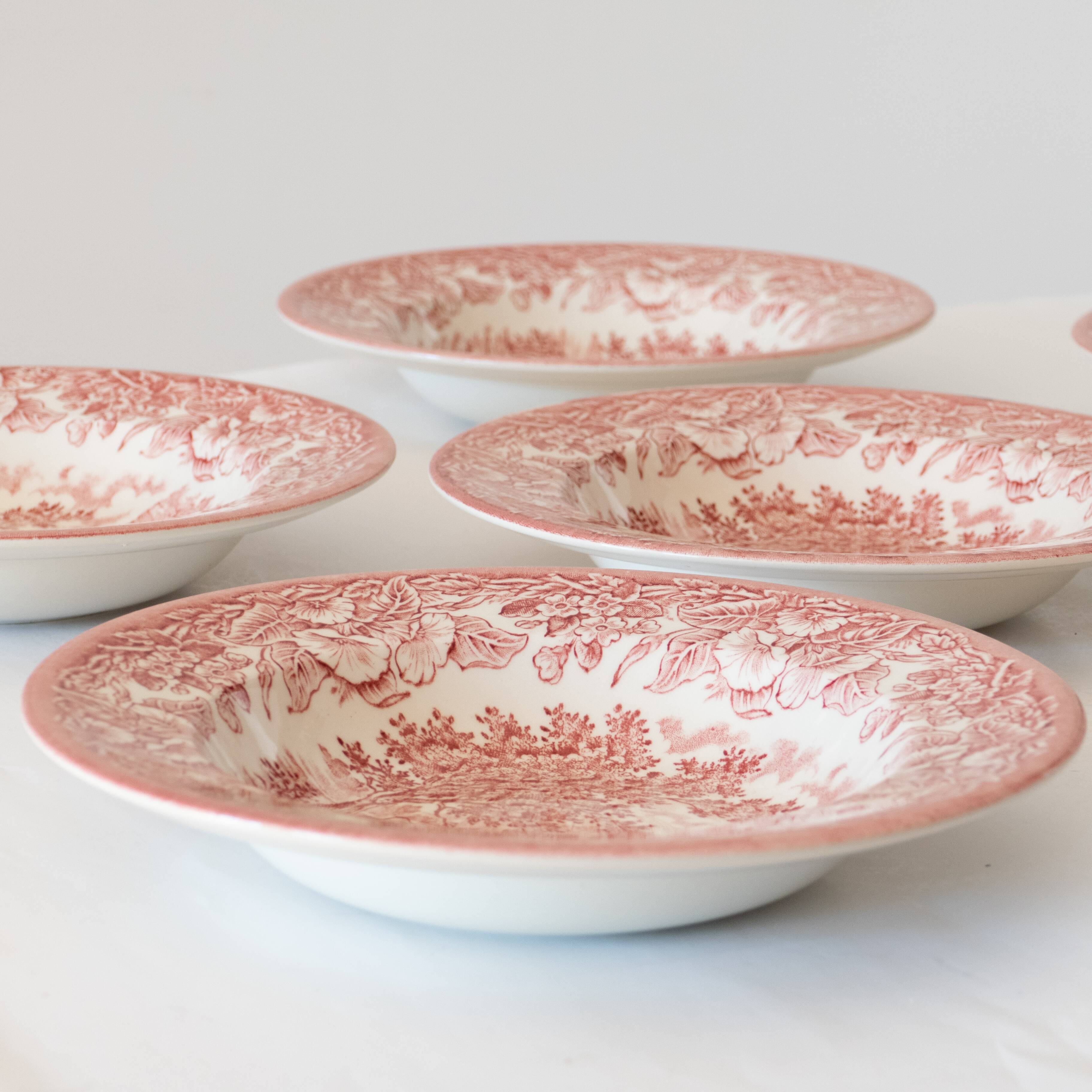 6 English Hollow Plates Eit Ltd England Vintage