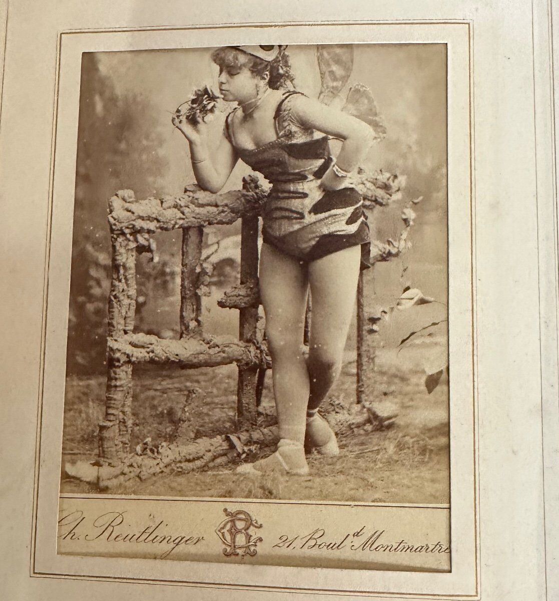 Collection of 39 photographs of singers, actresses, and gymnasts between 1870 and 1880.