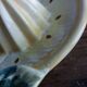 Citrus press lemon in slurry