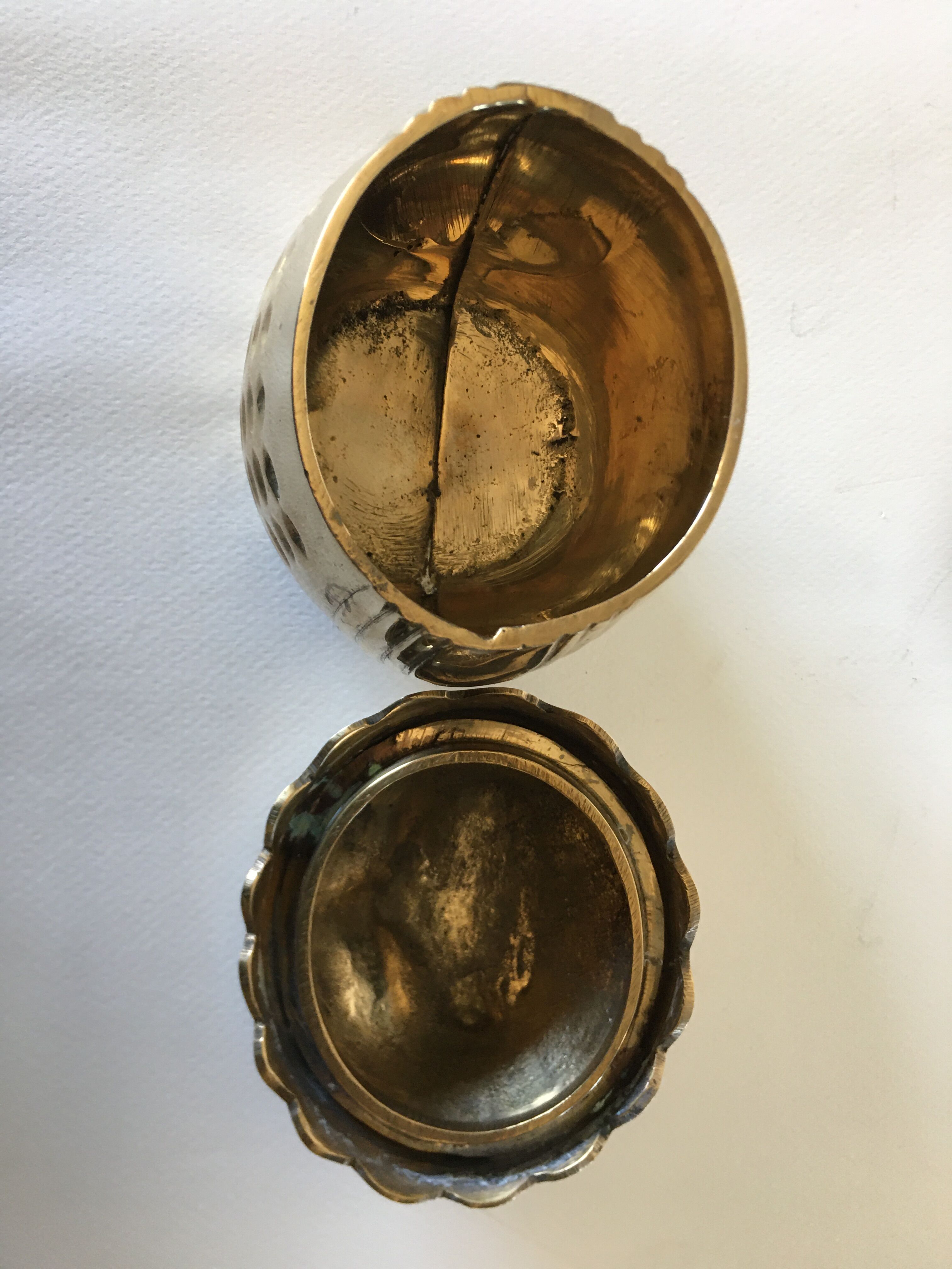 Empty box pockets owl