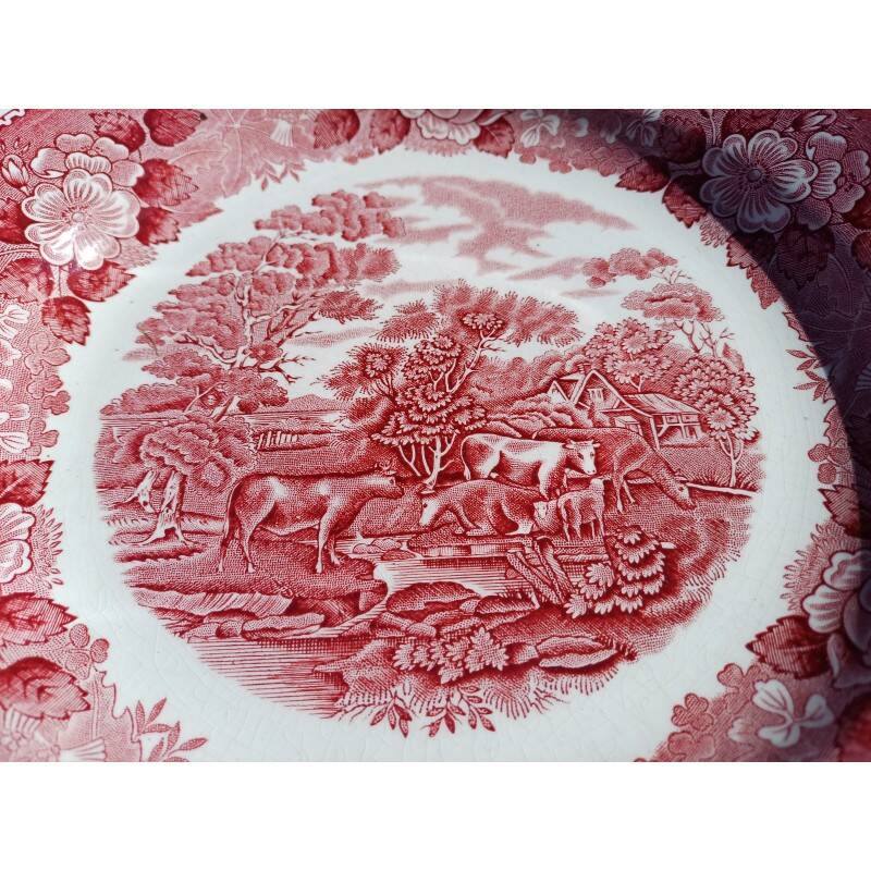 12 earthenware plates from the brand: Adams