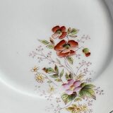 Lot de 6 assiettes à dessert en porcelaine ancienne à fleures peintes à la main