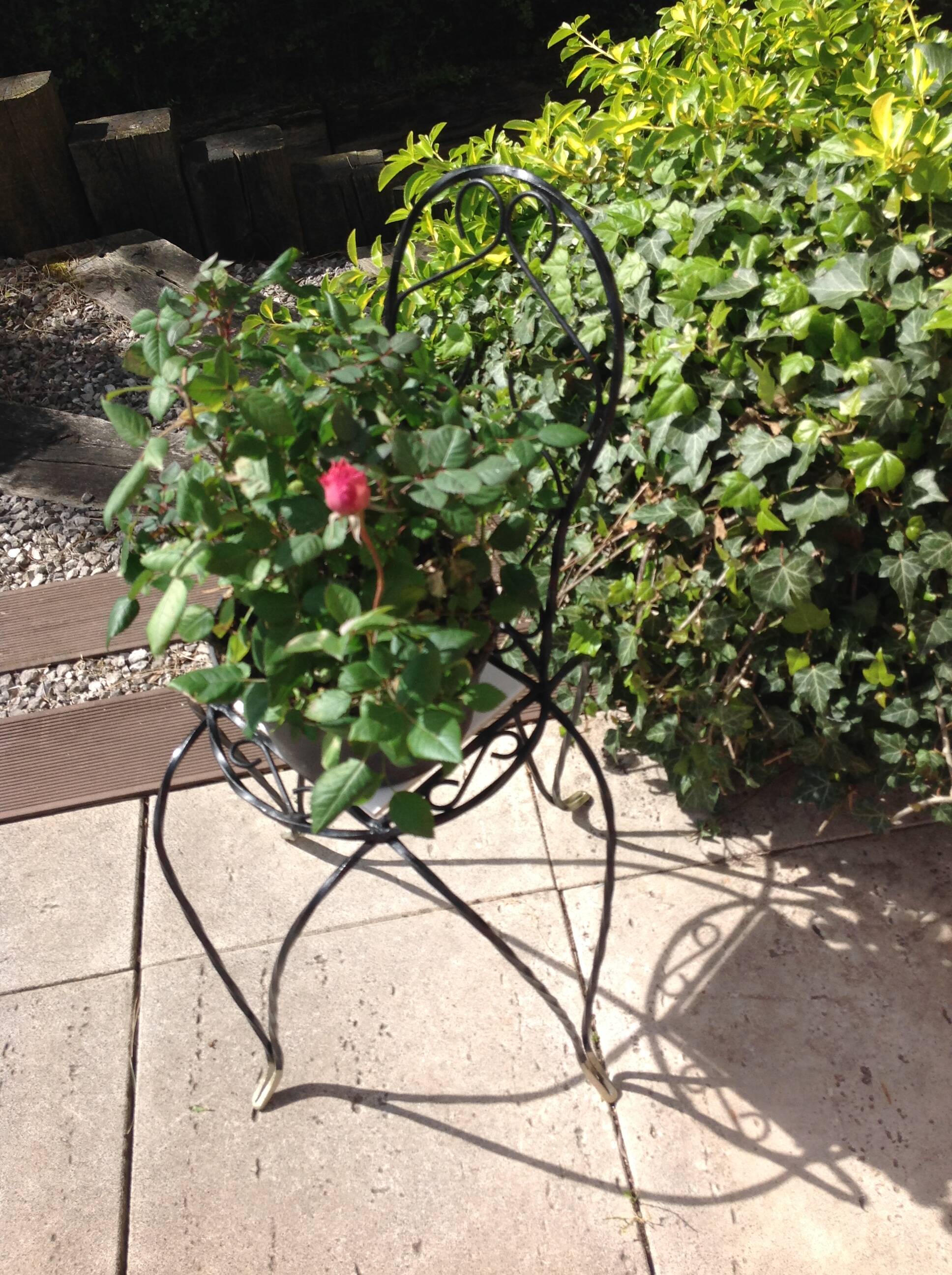 Plant holder "chair" in wrought iron and earthenware / vintage 60s-70s
