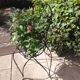 Plant holder "chair" in wrought iron and earthenware / vintage 60s-70s