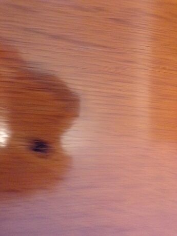 Vintage chest of drawers