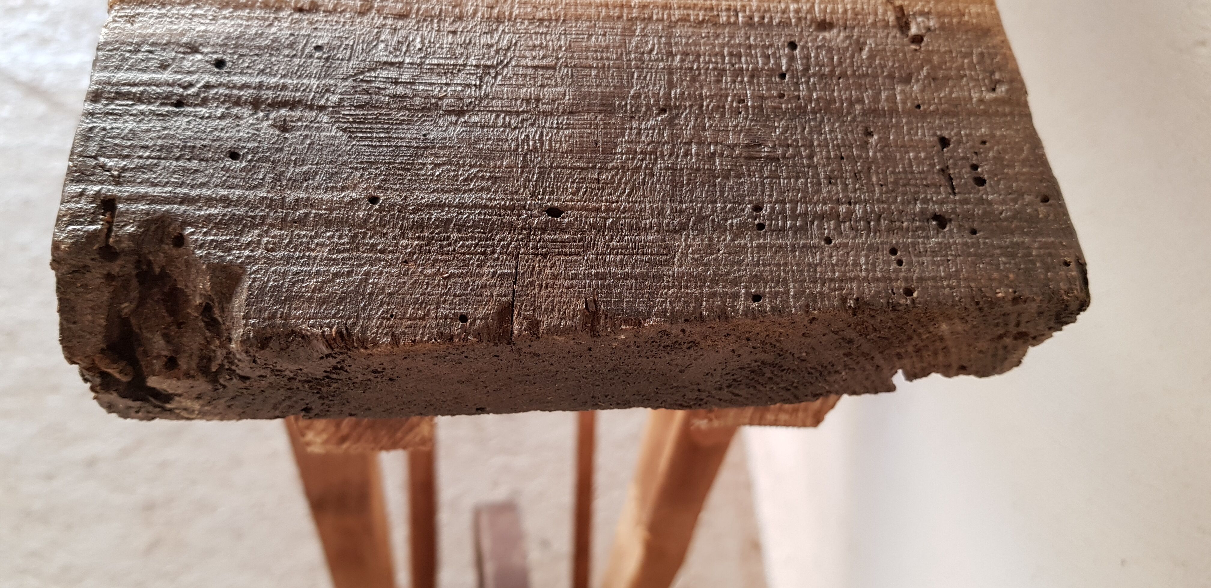 Primitive established