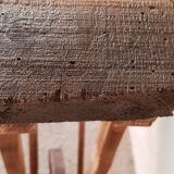 Primitive established