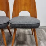 Dining Chairs by Oswald Haerdtl, 1950s, Set of 4