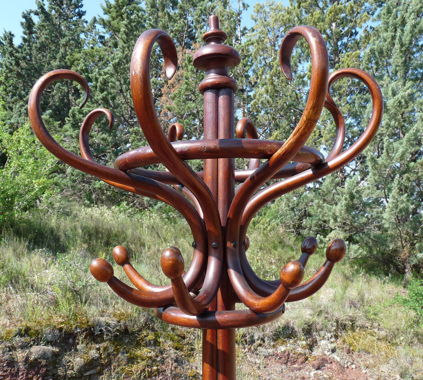 Coat rack Parrot Thonet bentwood 1930